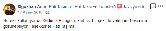 pati-tasima-pet-taksi-1